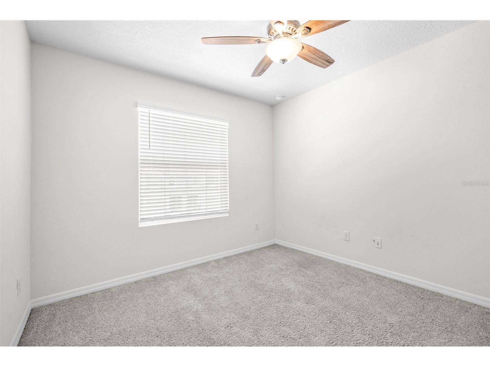 32960 Kaloko Road Wesley Chapel FL 33543 TB8503681 image34