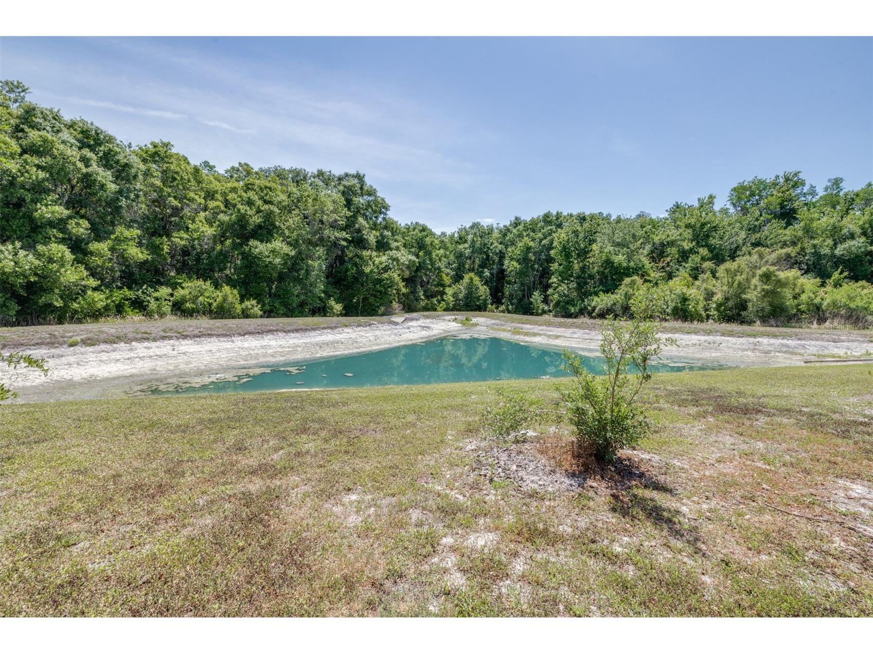 32960 Kaloko Road Wesley Chapel FL 33543 TB8503681 image43