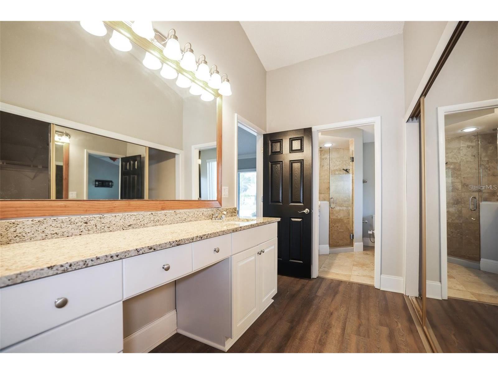 3297 Valemoor Drive Palm Harbor FL 34685 TB8503375 image10