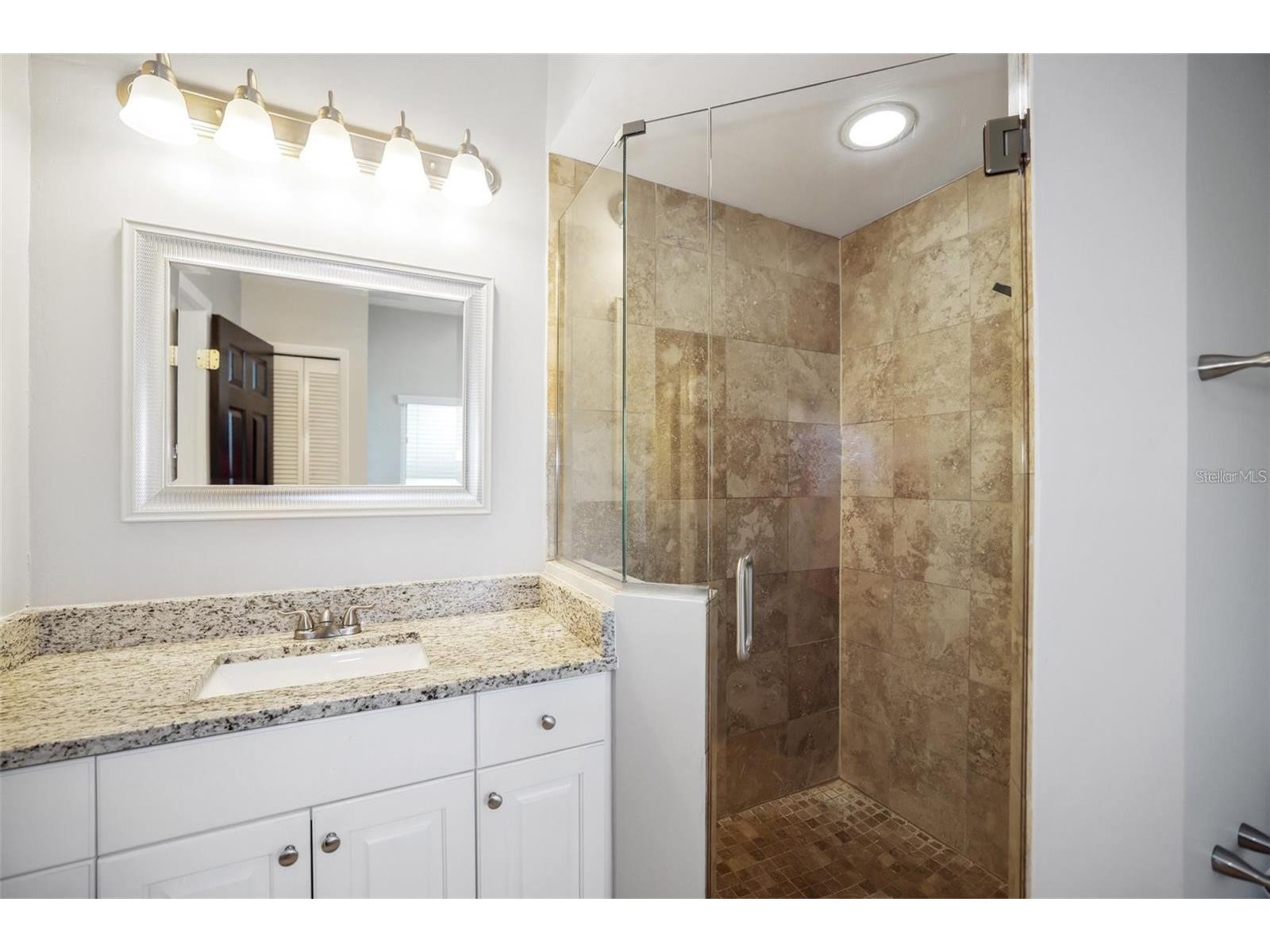 3297 Valemoor Drive Palm Harbor FL 34685 TB8503375 image11