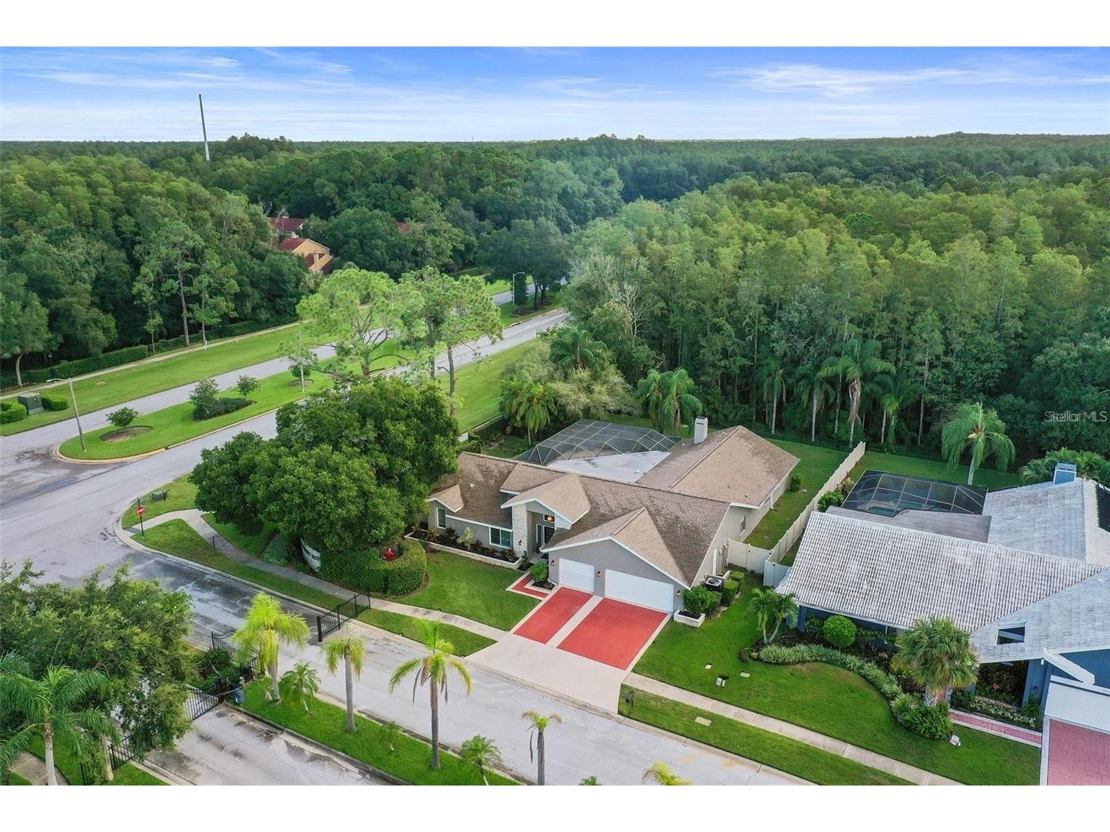3297 Valemoor Drive Palm Harbor FL 34685 TB8503375 image29
