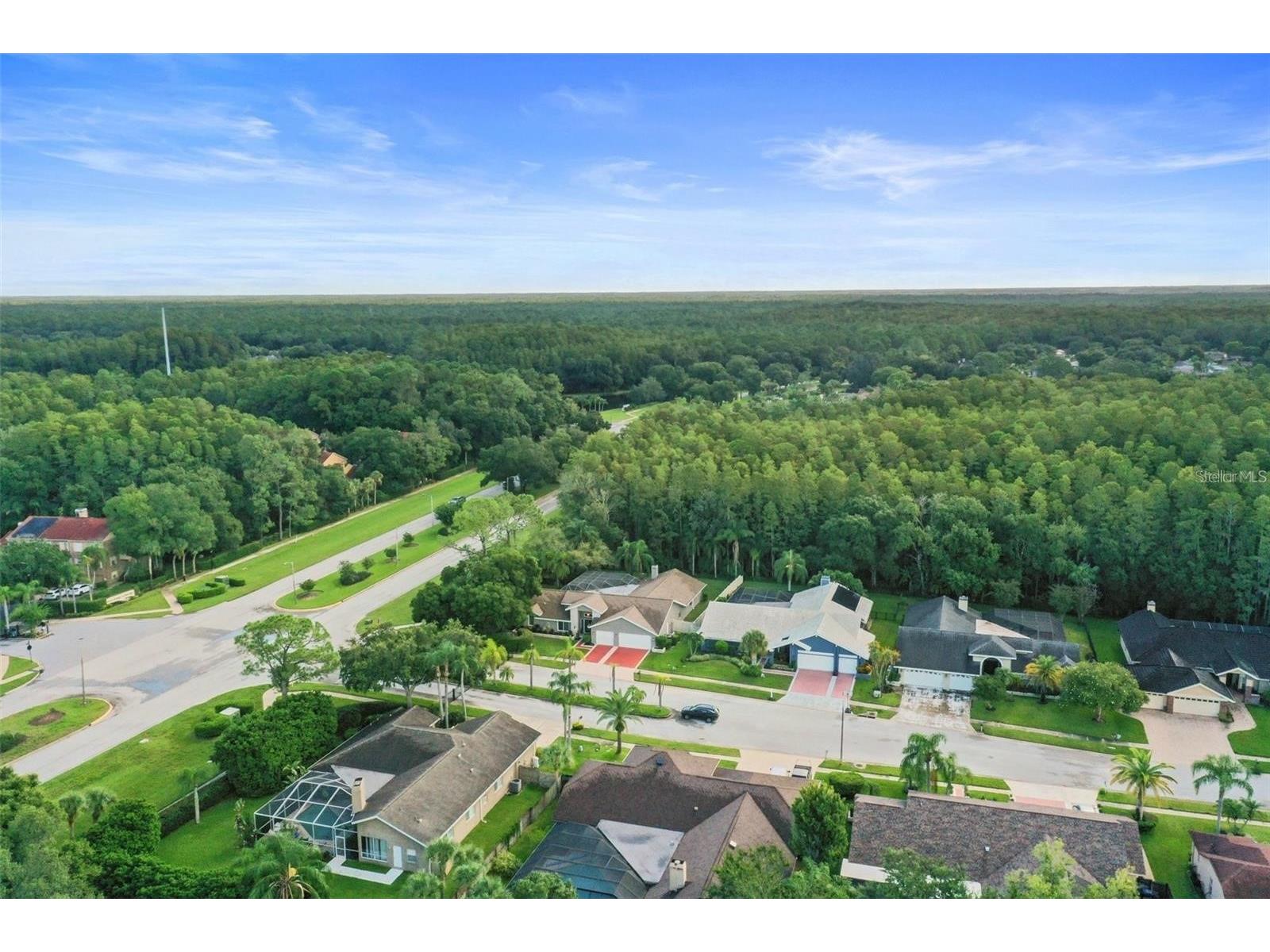 3297 Valemoor Drive Palm Harbor FL 34685 TB8511625 image30