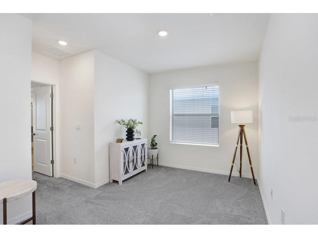 32978 Tulip Petal Lane Wesley Chapel FL 33545 TB8493256 image14