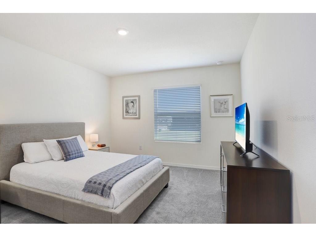 32978 Tulip Petal Lane Wesley Chapel FL 33545 TB8493256 image16