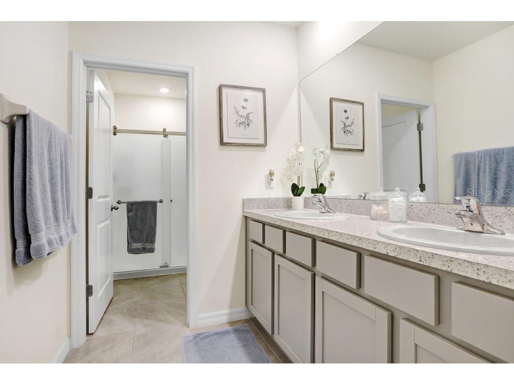 32978 Tulip Petal Lane Wesley Chapel FL 33545 TB8493256 image18