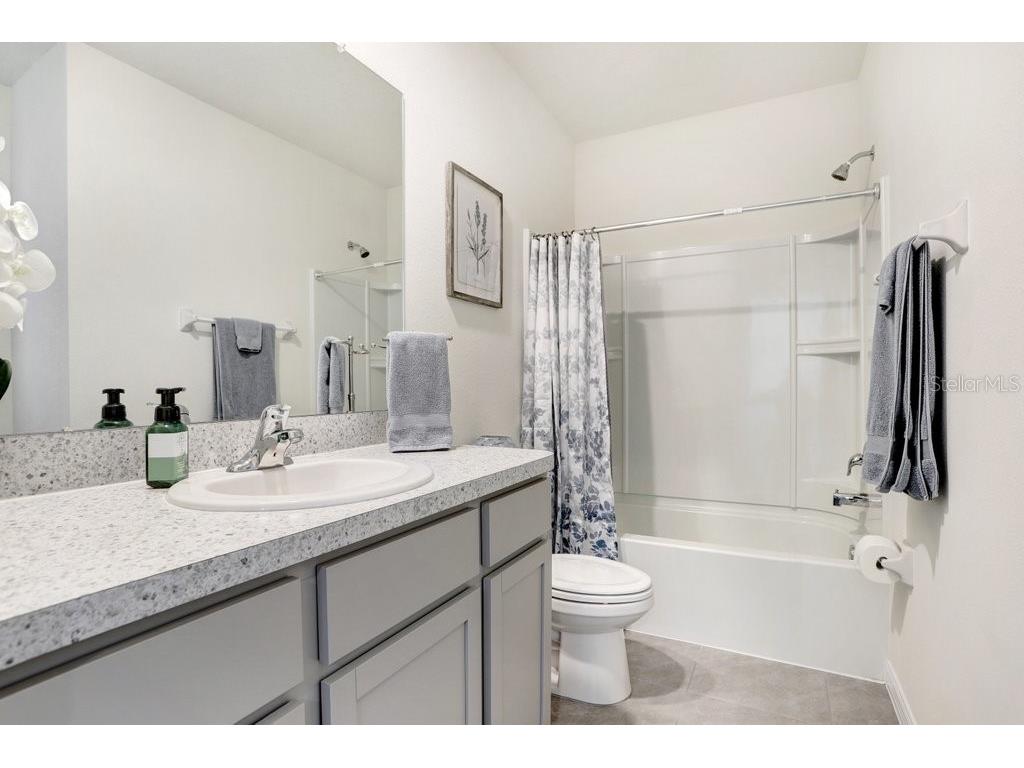 32978 Tulip Petal Lane Wesley Chapel FL 33545 TB8493256 image21