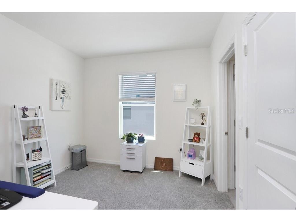 32978 Tulip Petal Lane Wesley Chapel FL 33545 TB8493256 image22