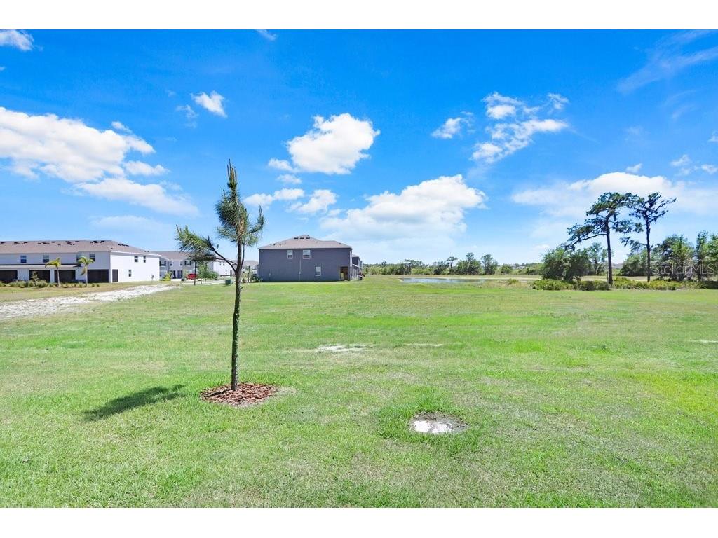 32978 Tulip Petal Lane Wesley Chapel FL 33545 TB8493256 image25