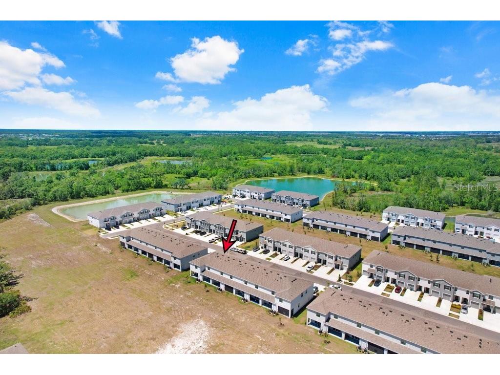 32978 Tulip Petal Lane Wesley Chapel FL 33545 TB8493256 image32