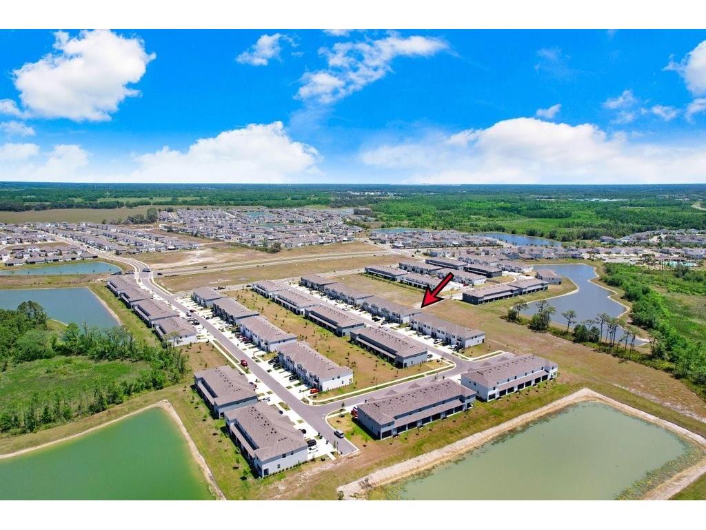 32978 Tulip Petal Lane Wesley Chapel FL 33545 TB8493256 image36