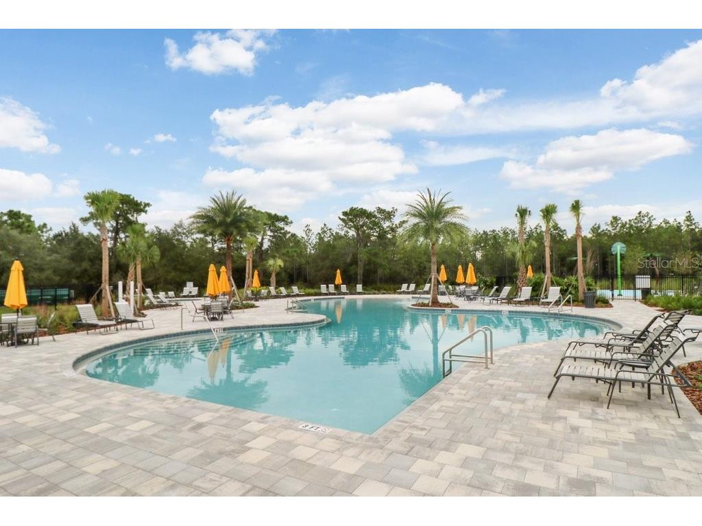 32978 Tulip Petal Lane Wesley Chapel FL 33545 TB8493256 image39