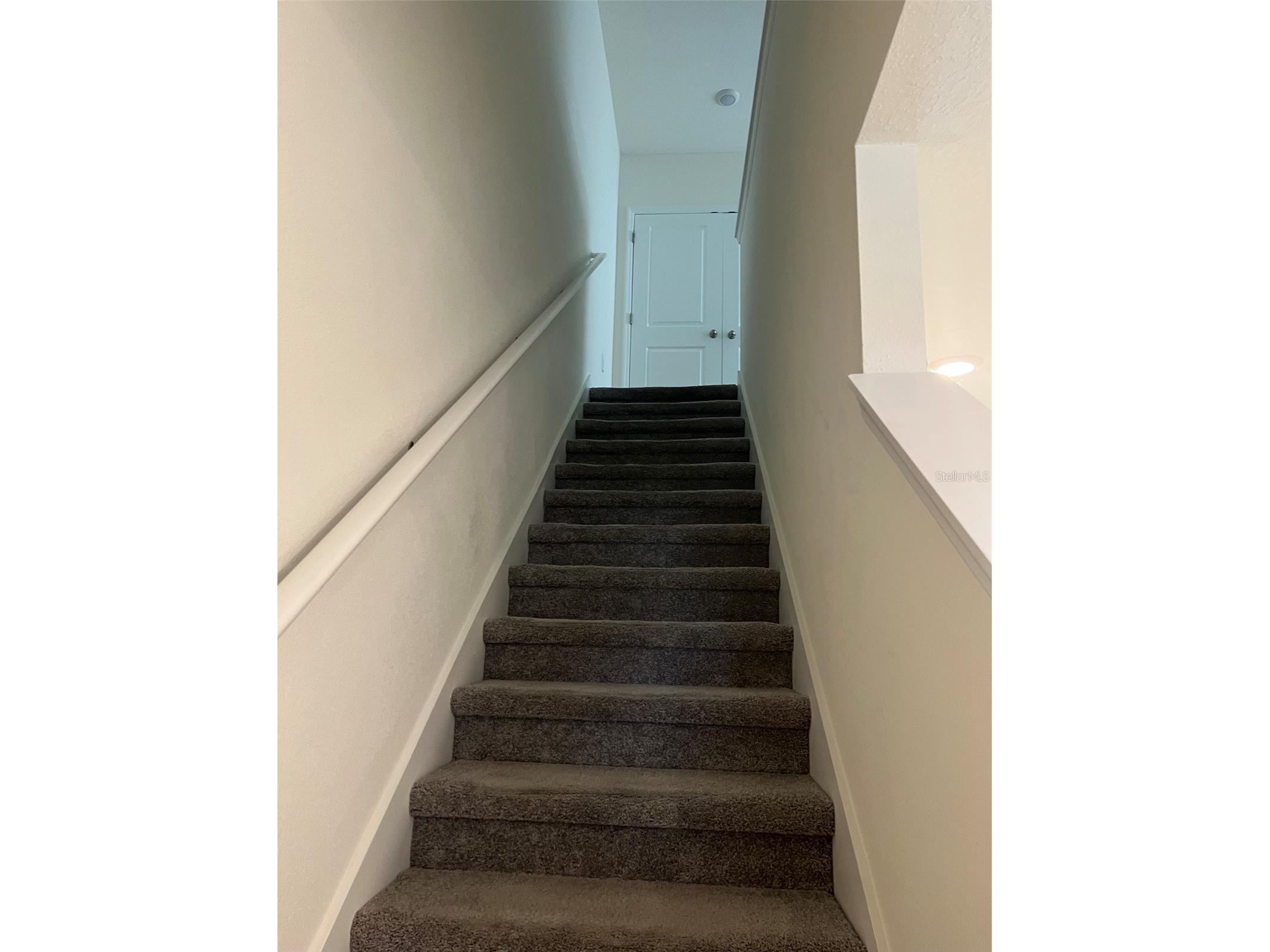 32978 Tulip Petal Lane Wesley Chapel FL 33545 TB8517418 image10