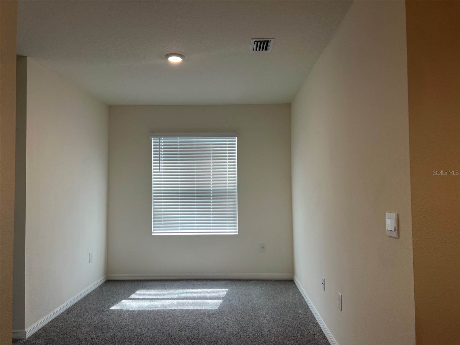 32978 Tulip Petal Lane Wesley Chapel FL 33545 TB8517418 image12