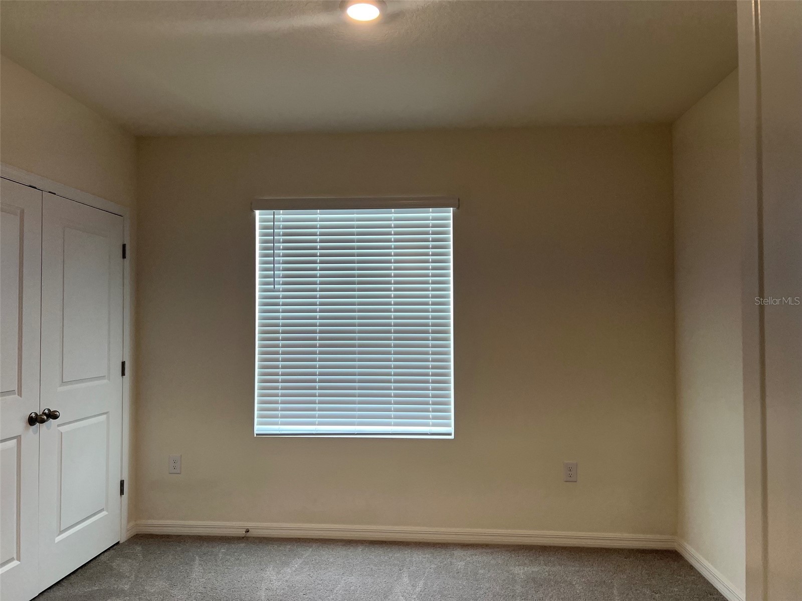 32978 Tulip Petal Lane Wesley Chapel FL 33545 TB8517418 image13