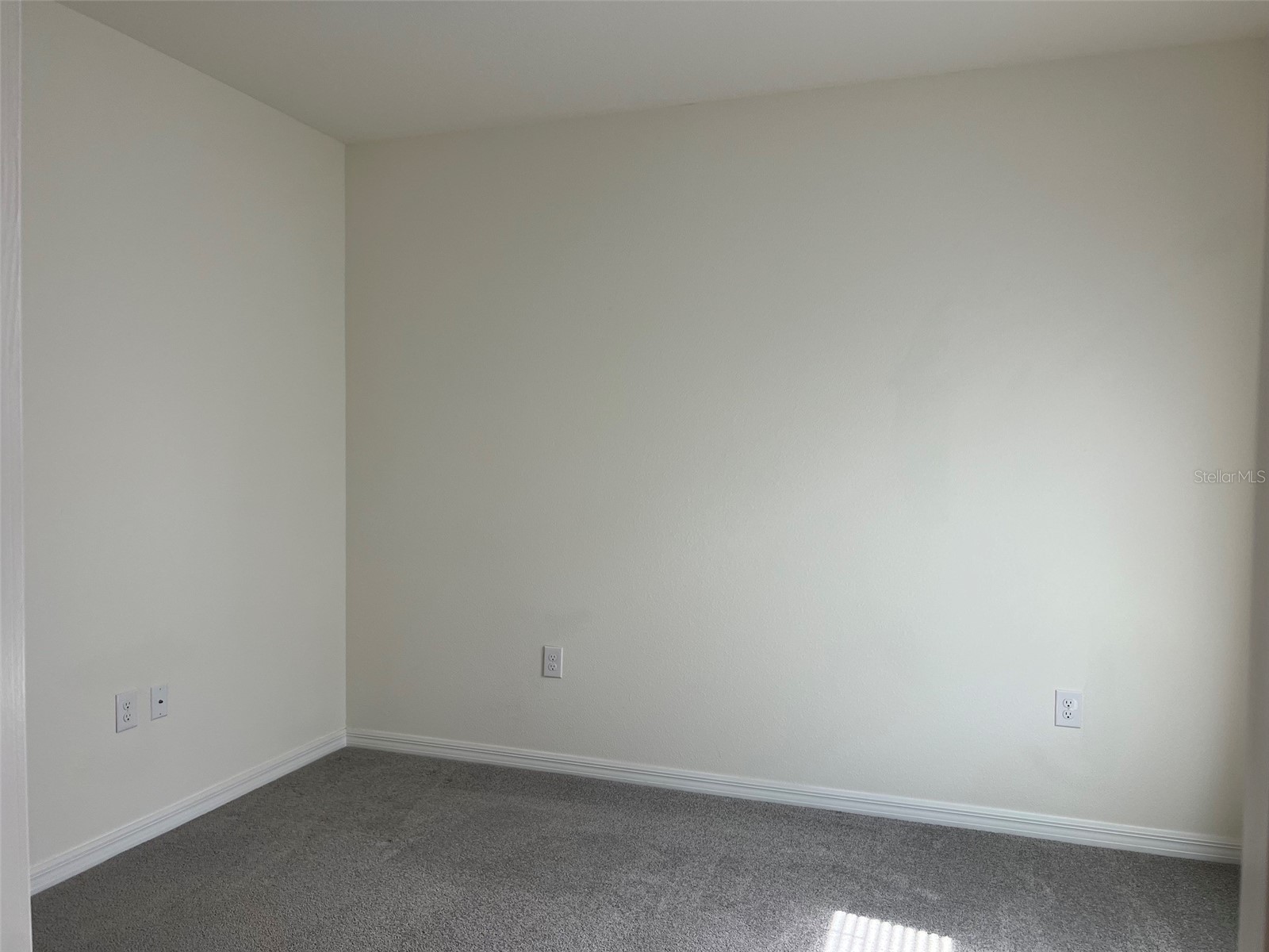 32978 Tulip Petal Lane Wesley Chapel FL 33545 TB8517418 image17