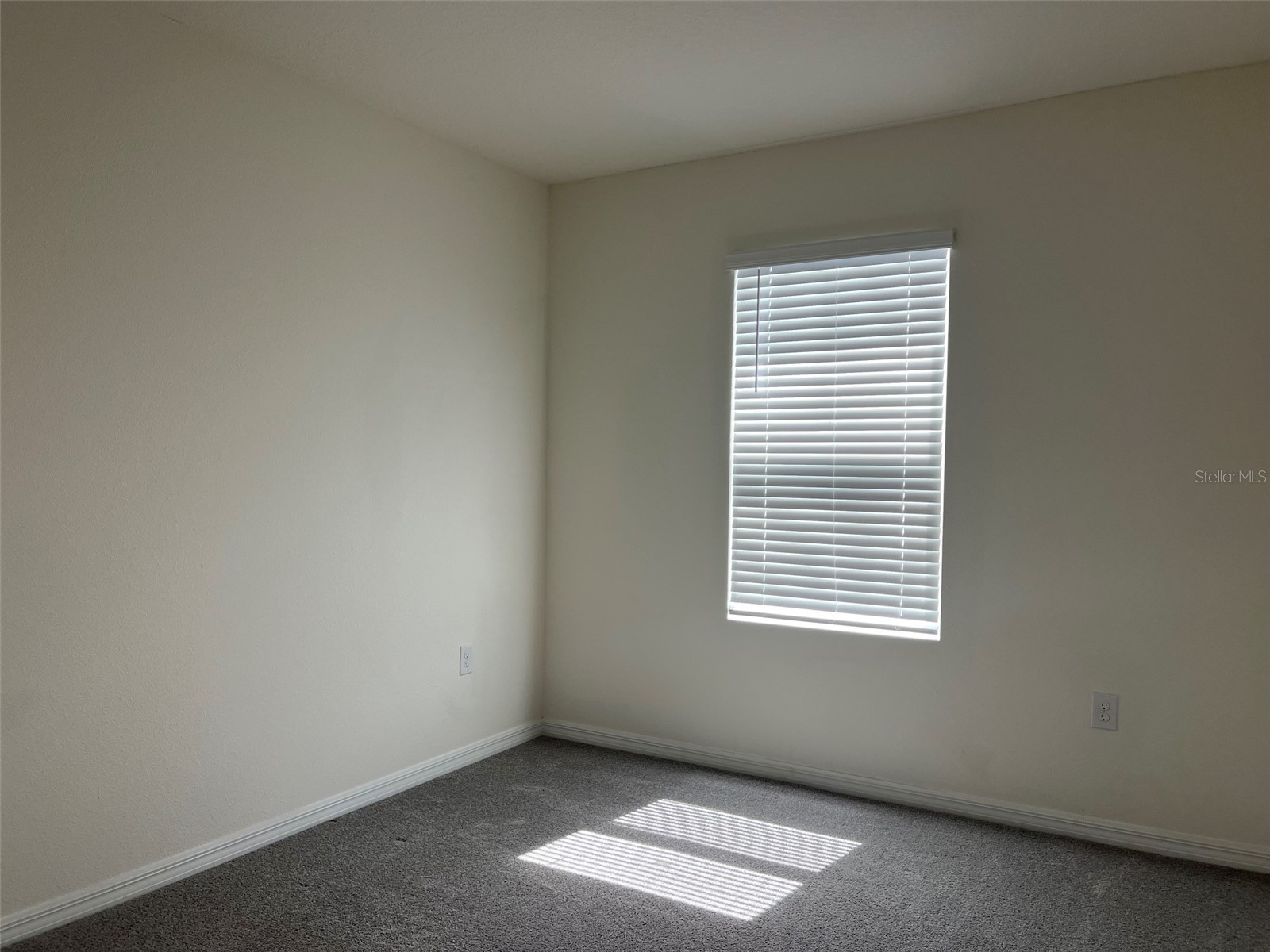 32978 Tulip Petal Lane Wesley Chapel FL 33545 TB8517418 image18