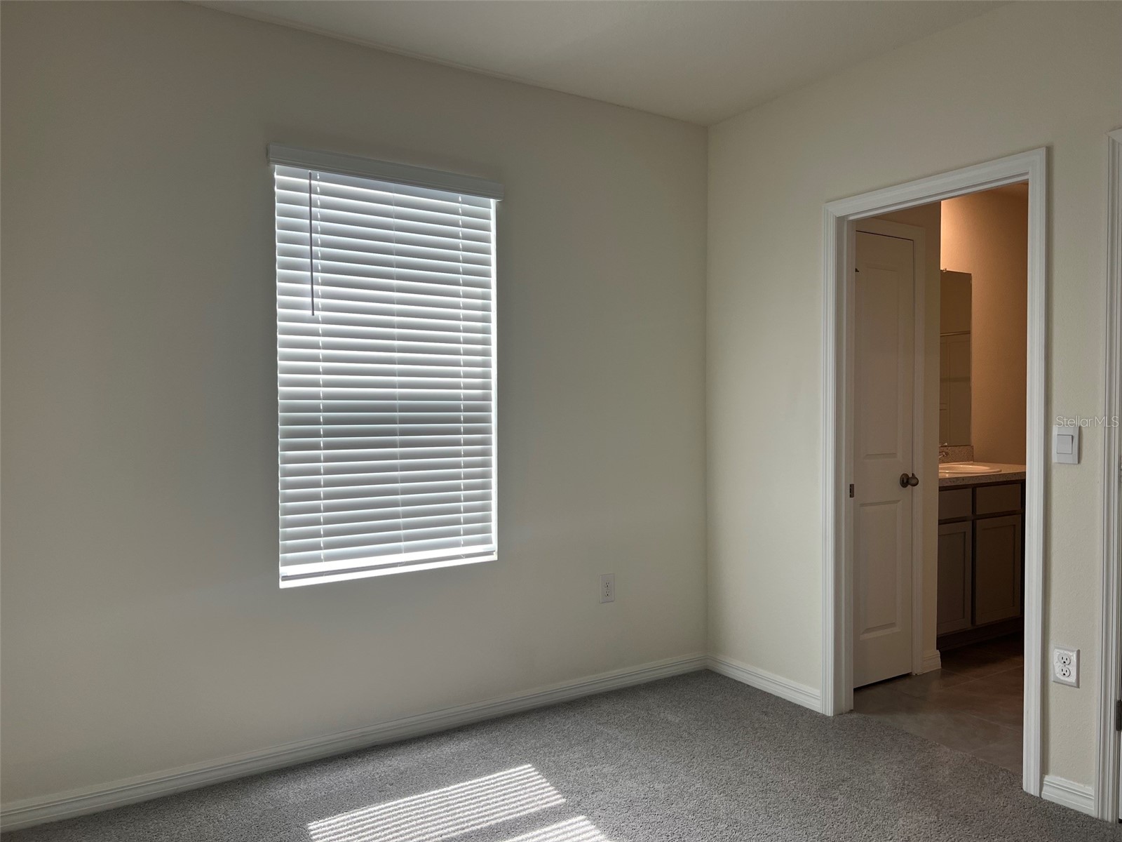 32978 Tulip Petal Lane Wesley Chapel FL 33545 TB8517418 image19