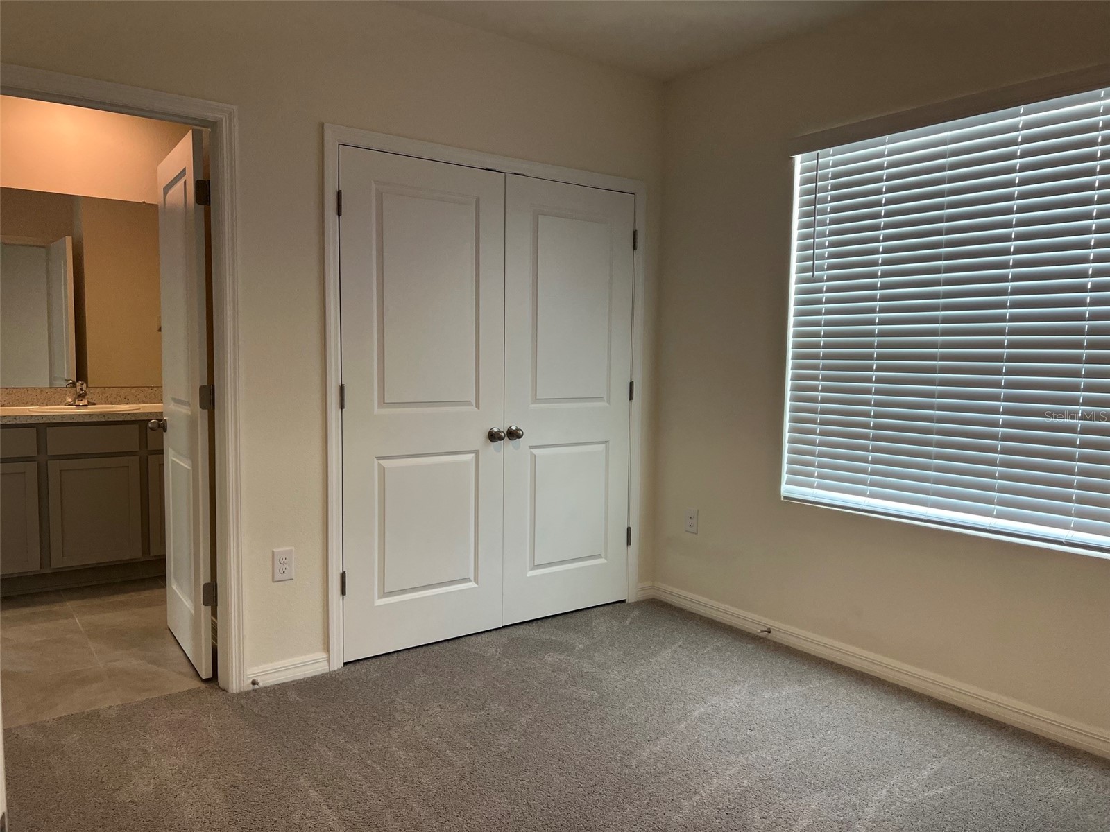 32978 Tulip Petal Lane Wesley Chapel FL 33545 TB8517418 image20
