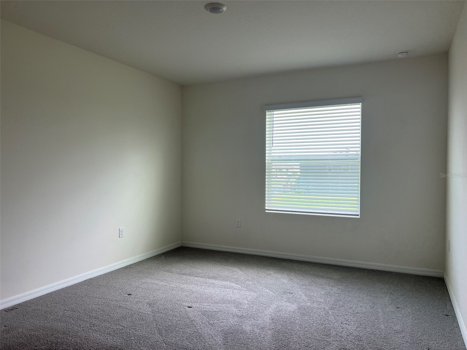 32978 Tulip Petal Lane Wesley Chapel FL 33545 TB8517418 image22