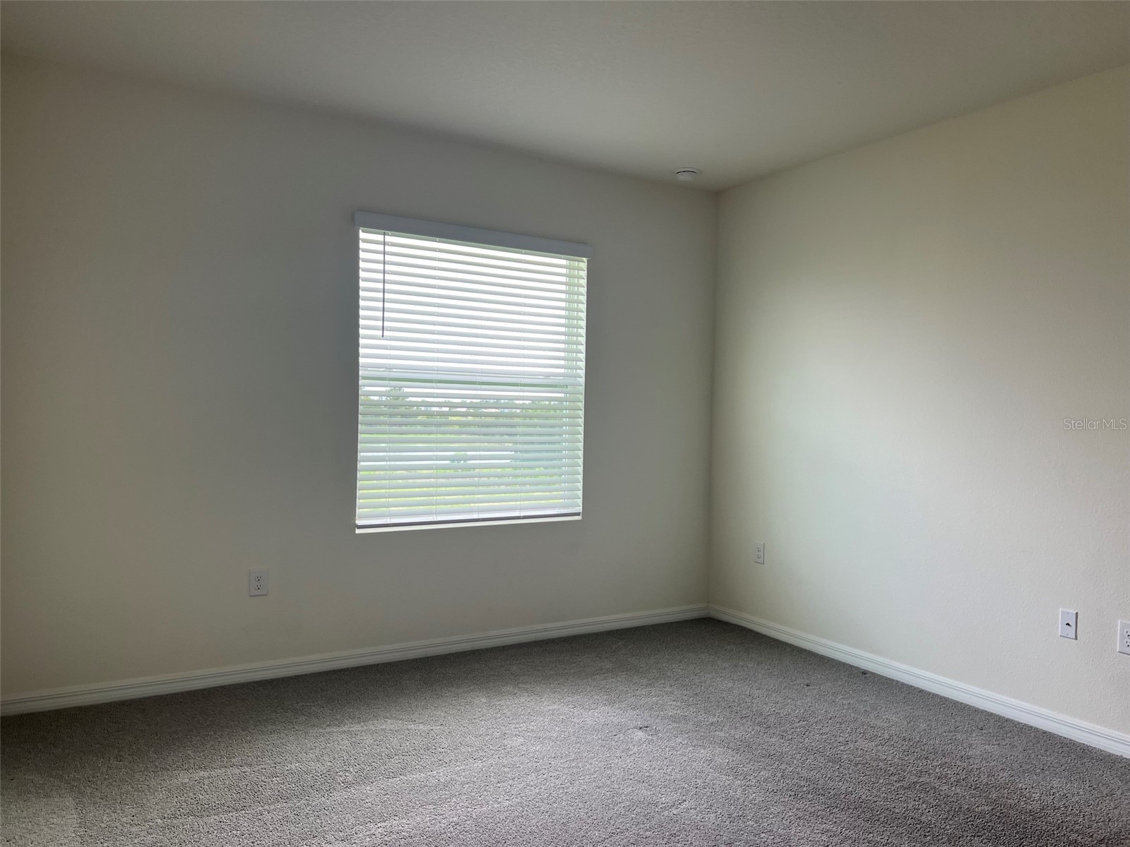 32978 Tulip Petal Lane Wesley Chapel FL 33545 TB8517418 image23
