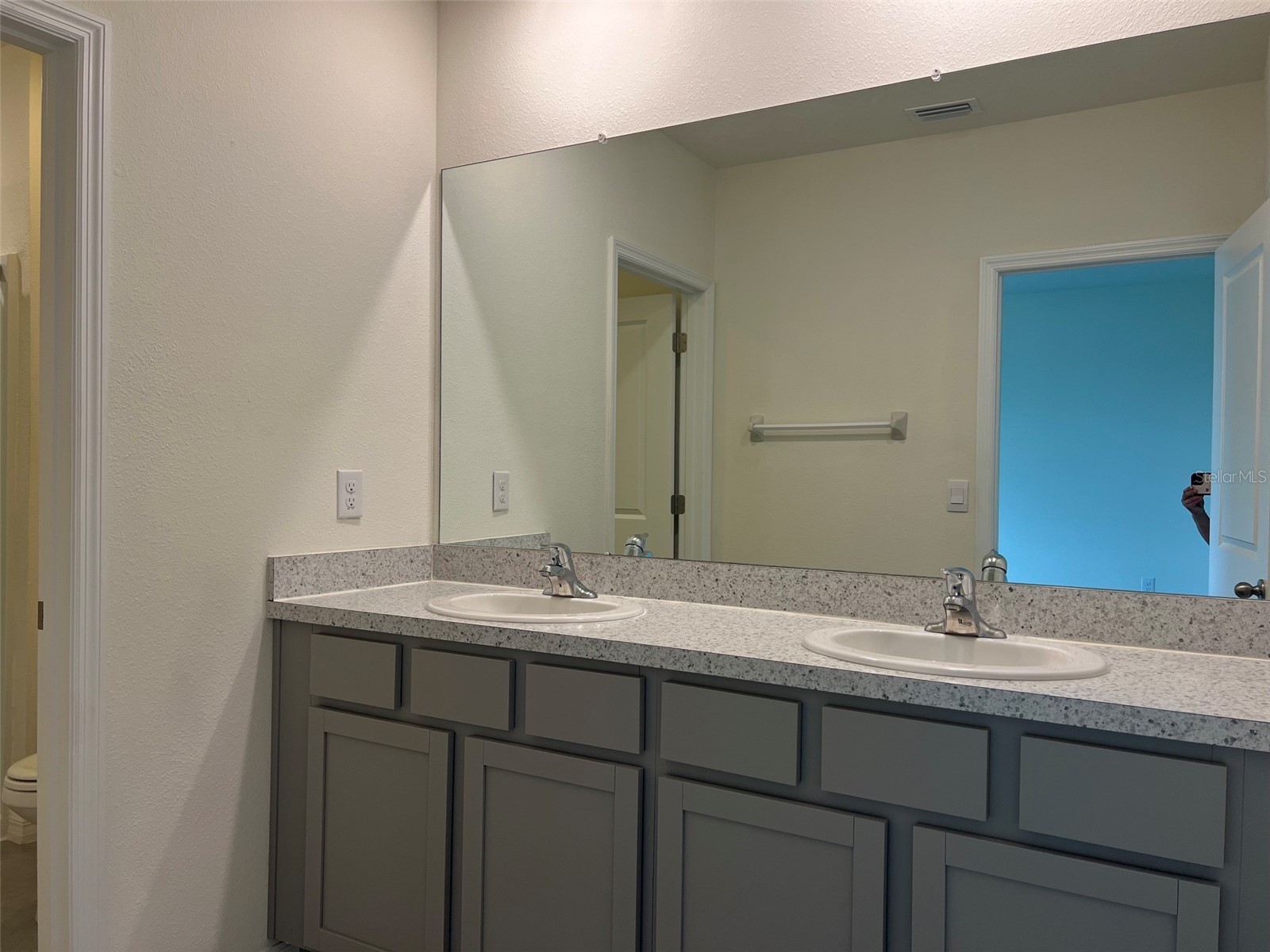 32978 Tulip Petal Lane Wesley Chapel FL 33545 TB8517418 image26