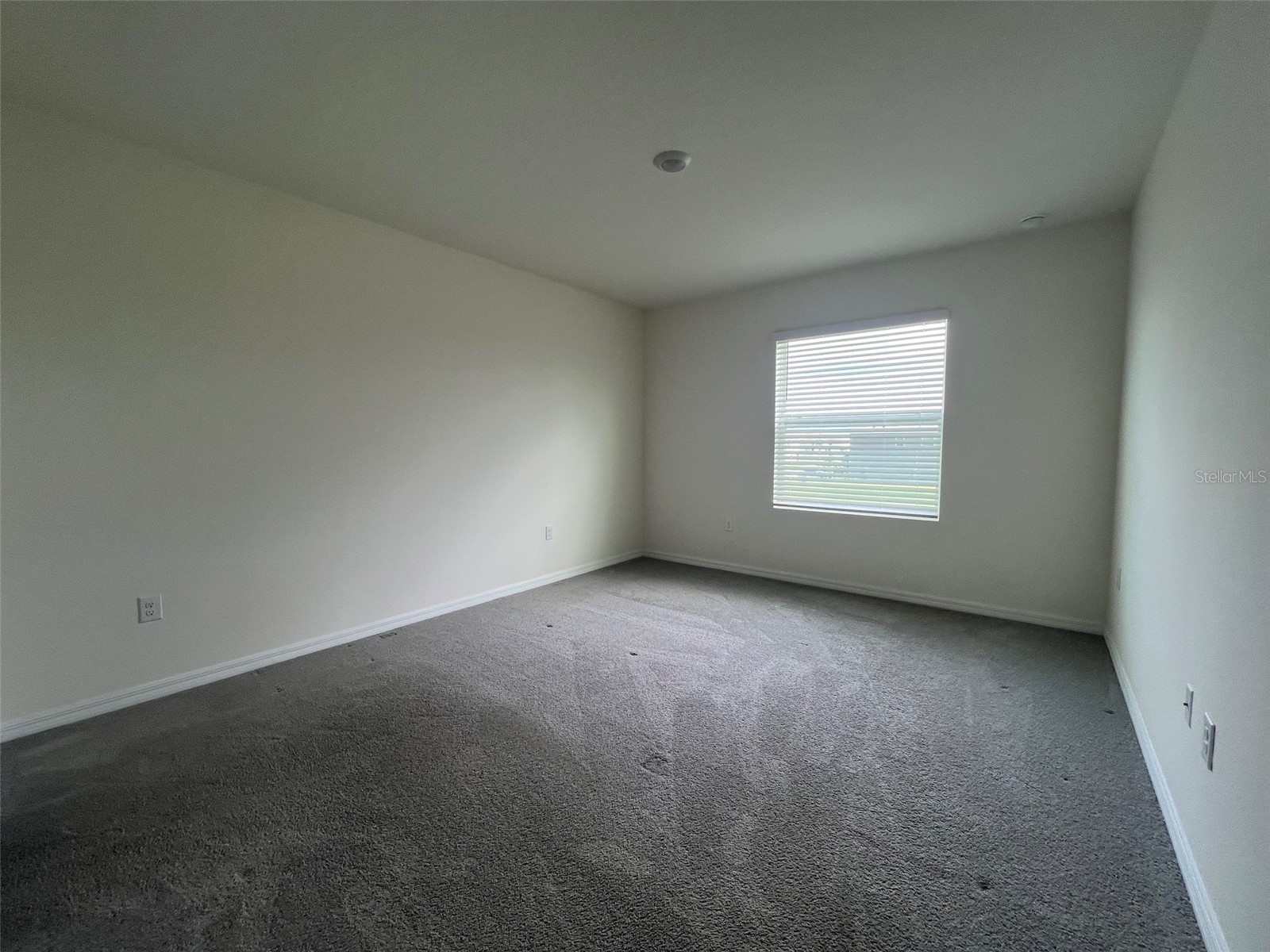 32978 Tulip Petal Lane Wesley Chapel FL 33545 TB8517418 image28