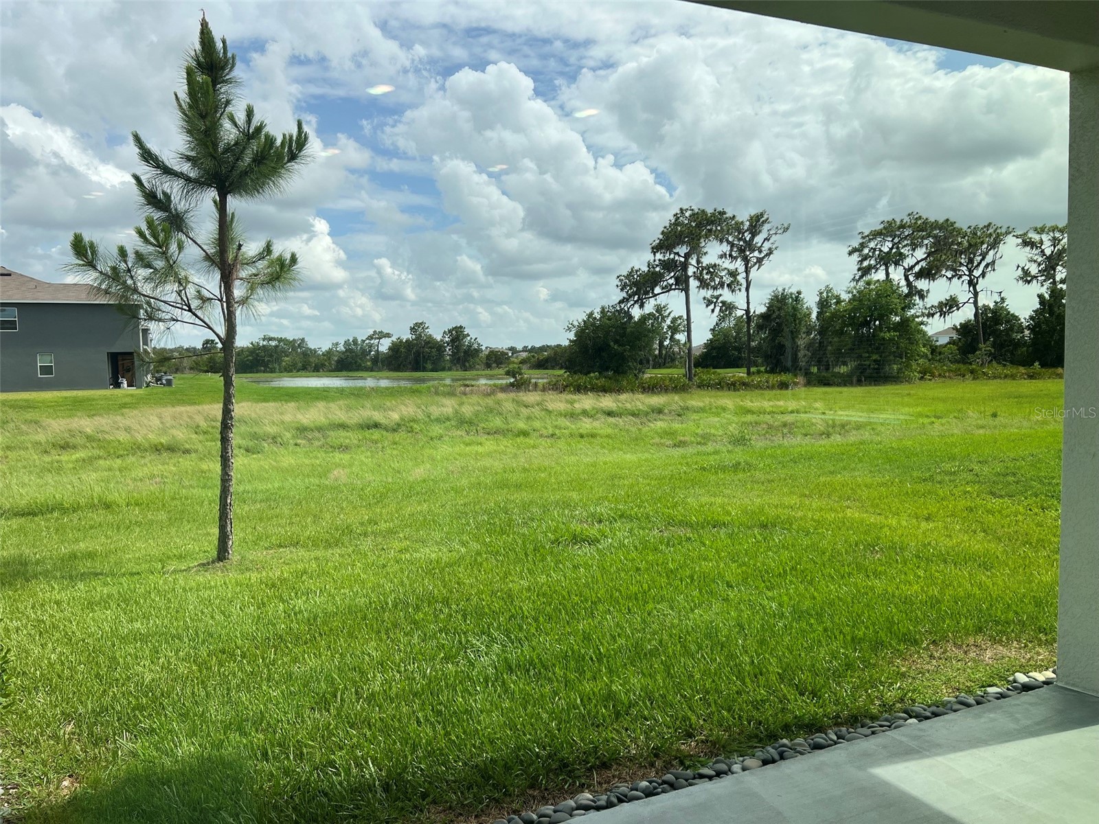 32978 Tulip Petal Lane Wesley Chapel FL 33545 TB8517418 image3