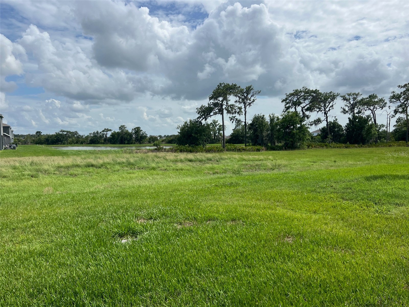 32978 Tulip Petal Lane Wesley Chapel FL 33545 TB8517418 image31