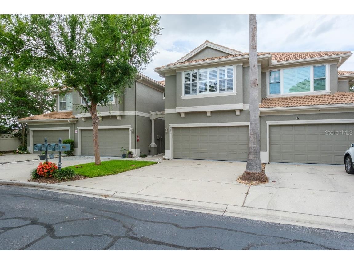 3298 Covered Bridge Drive W Dunedin FL 34698 TB8453196 image3