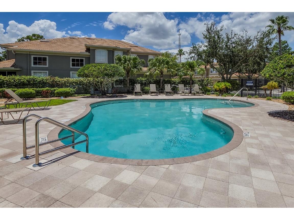 3298 Covered Bridge Drive W Dunedin FL 34698 TB8453196 image48