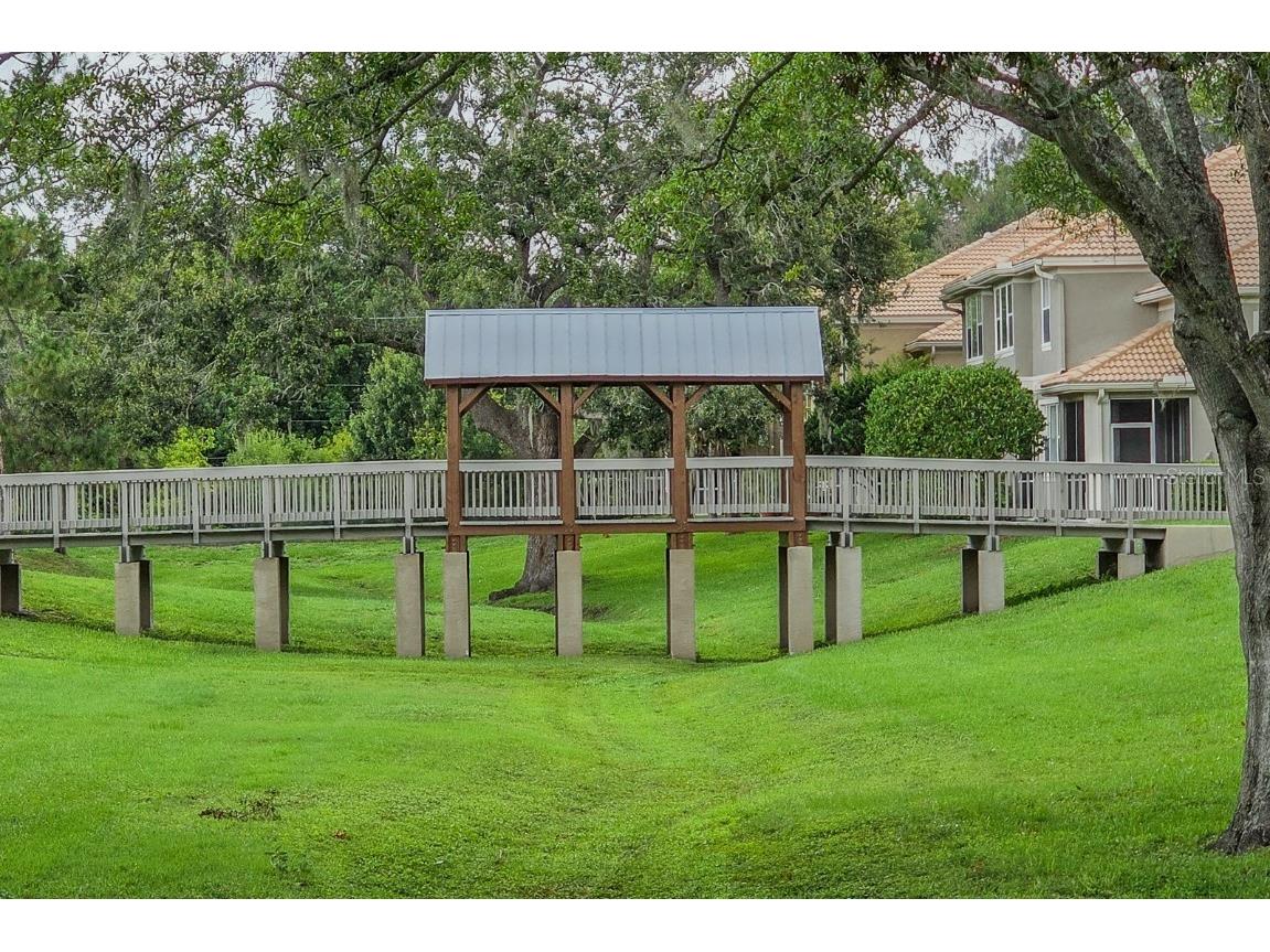 3298 Covered Bridge Drive W Dunedin FL 34698 TB8453196 image49