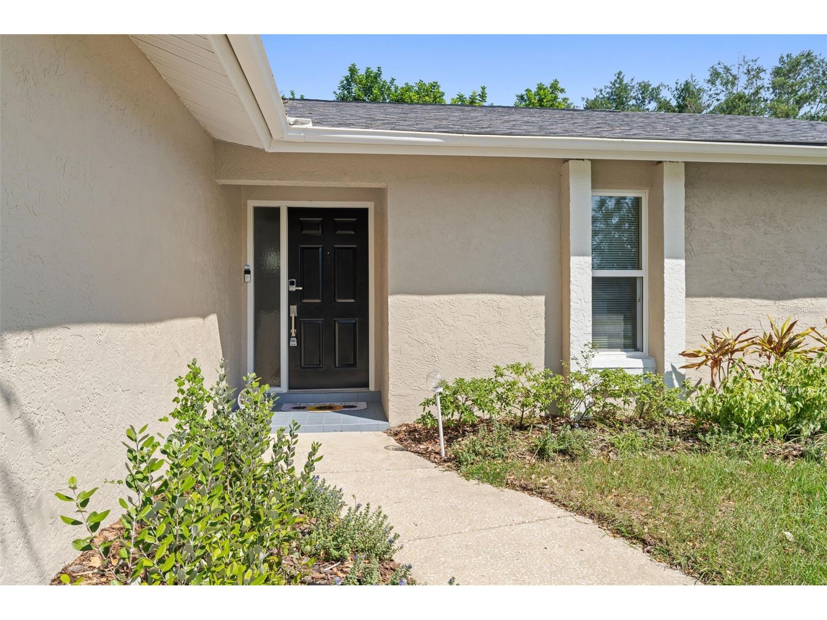 3298 Orchard Drive Palm Harbor FL 34684 TB8505143 image2