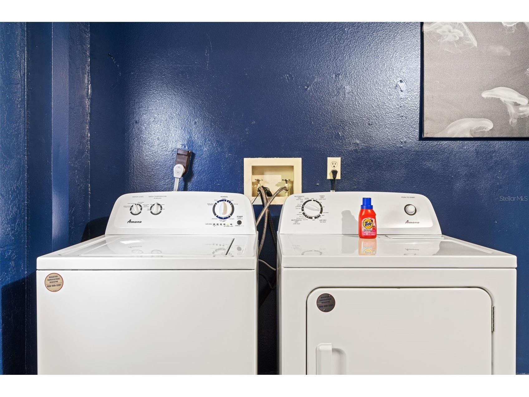 3298 Orchard Drive Palm Harbor FL 34684 TB8505143 image31