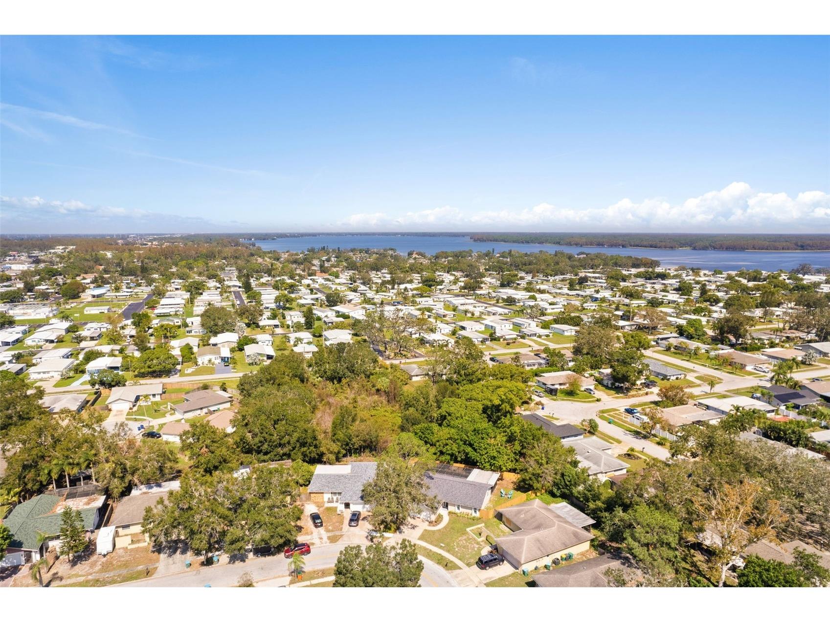3298 Orchard Drive Palm Harbor FL 34684 TB8505143 image44