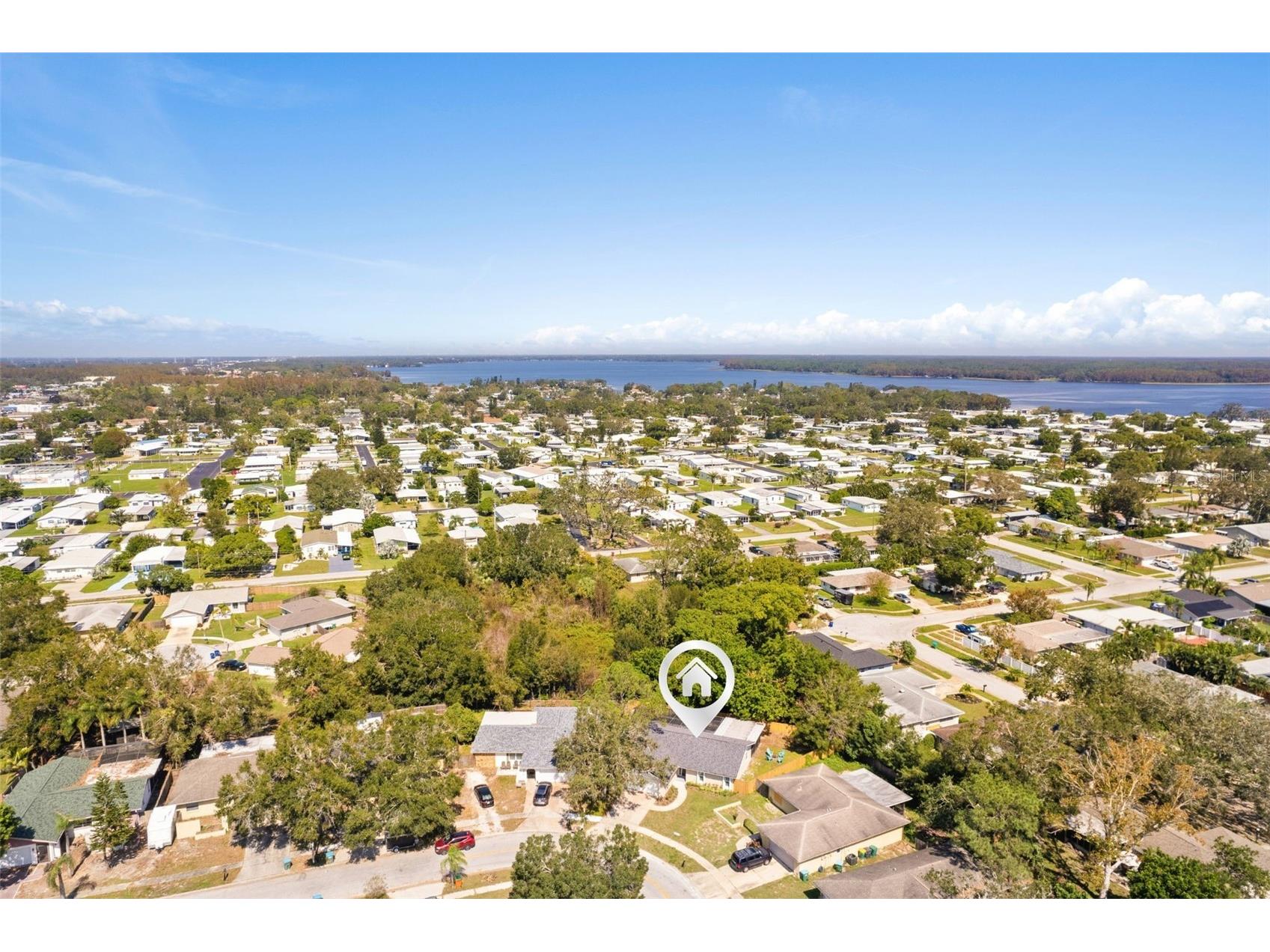 3298 Orchard Drive Palm Harbor FL 34684 TB8505143 image45