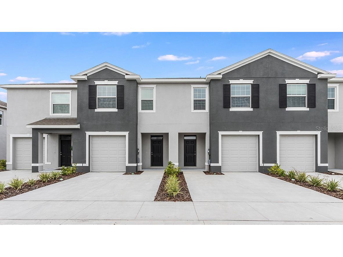 32981 Tulip Petal Lane Wesley Chapel FL 33545 J971540 image1