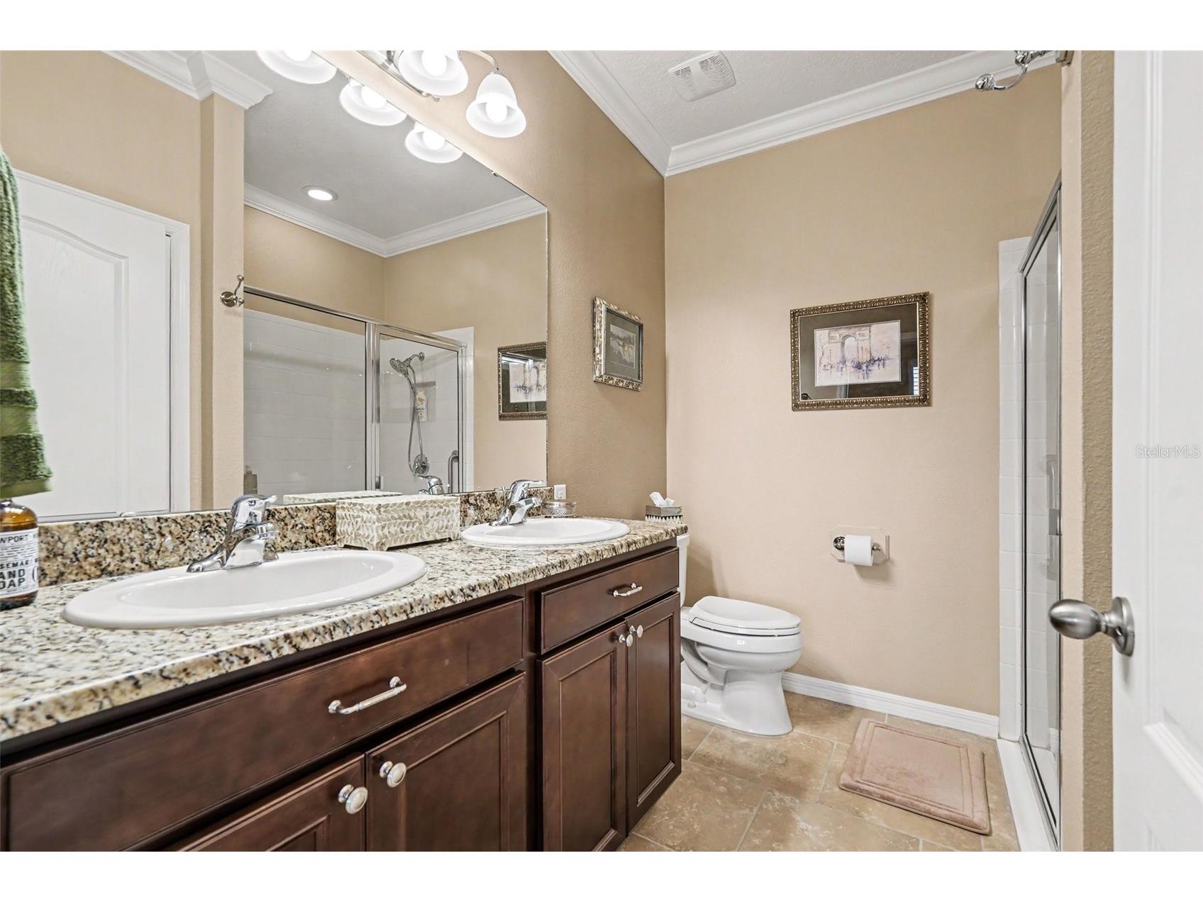 32983 Windelstraw Drive Wesley Chapel FL 33545 TB8522128 image18