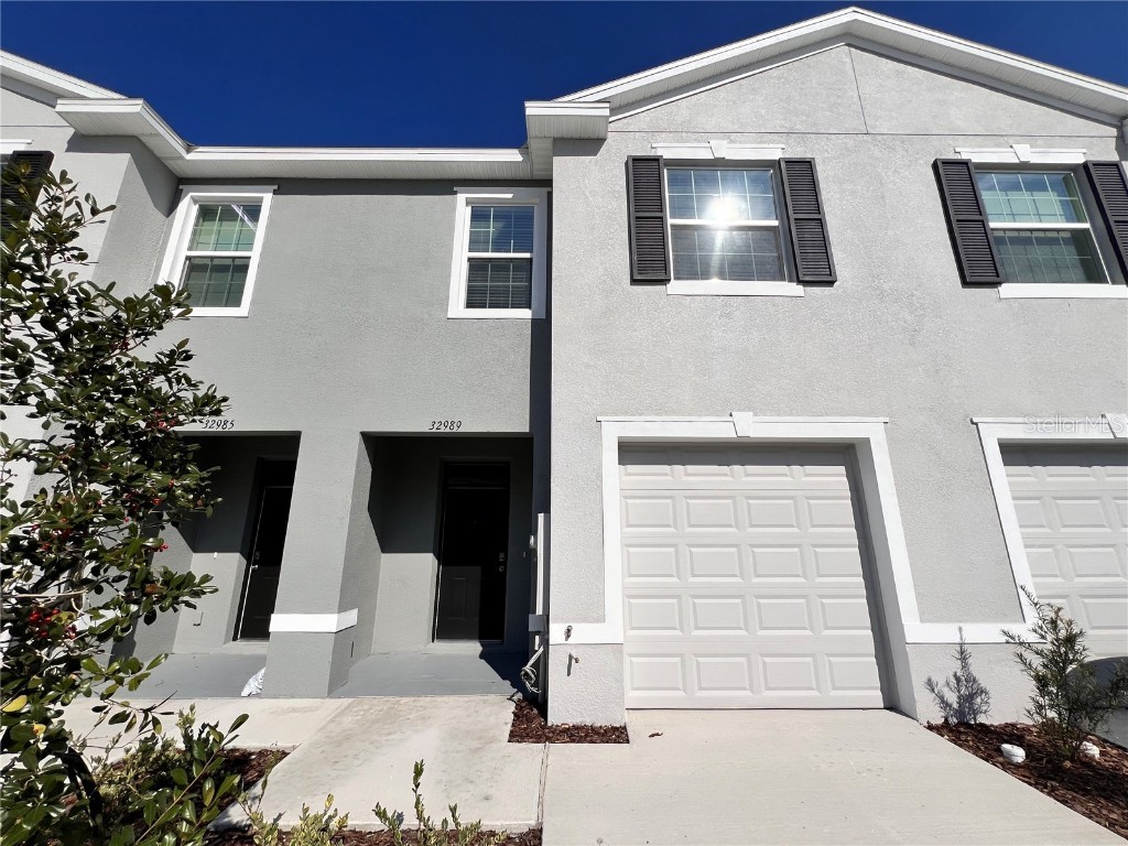 32989 Tulip Petal Lane Wesley Chapel FL 33545 T3494008 image1