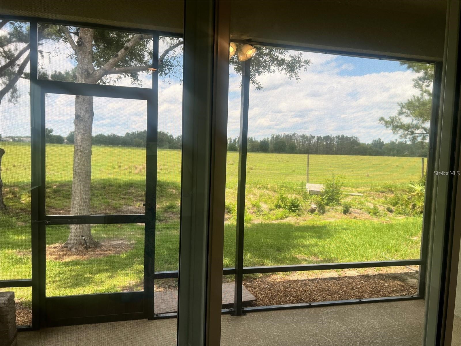32995 Windelstraw Drive Wesley Chapel FL 33545 TB8517018 image16