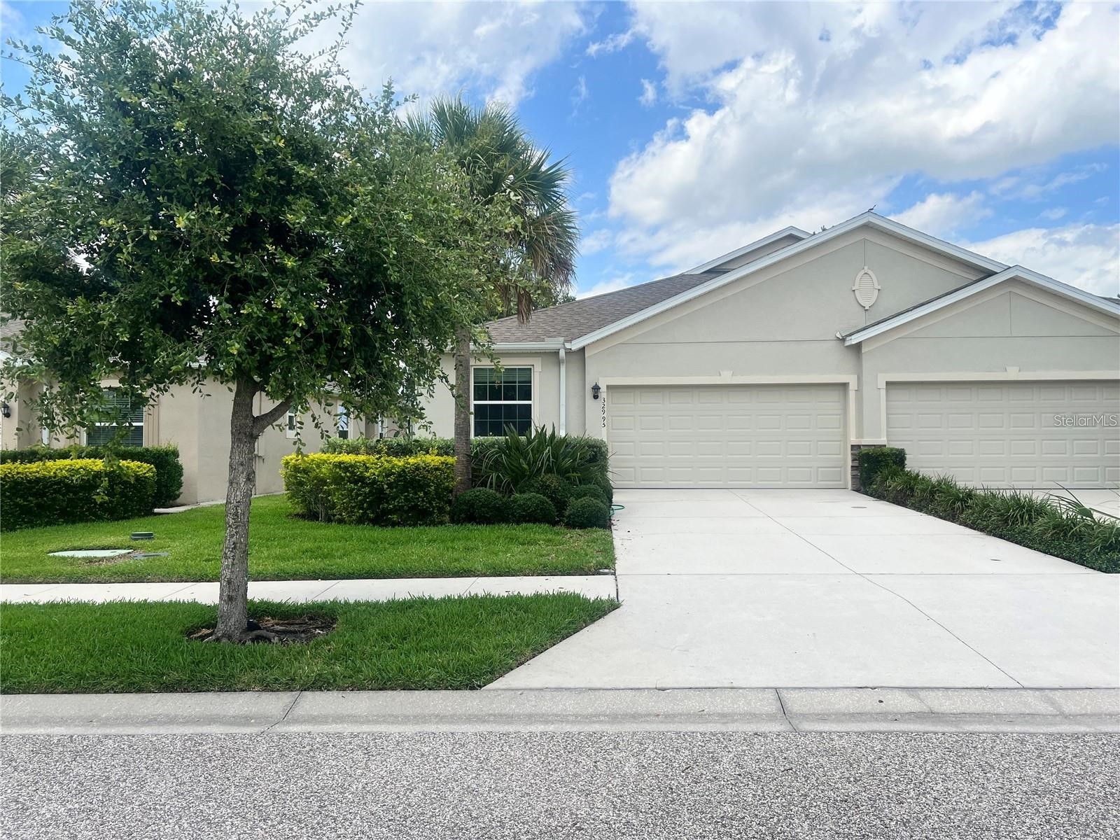 32995 Windelstraw Drive Wesley Chapel FL 33545 TB8517018 image2