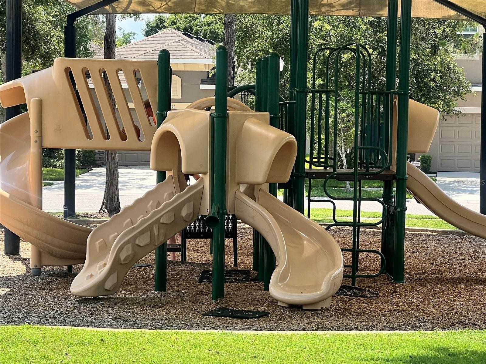 32995 Windelstraw Drive Wesley Chapel FL 33545 TB8517018 image20