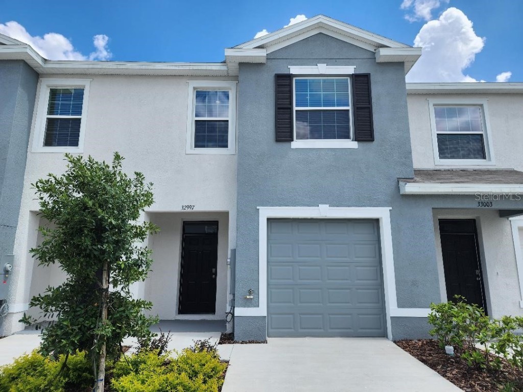 32997 Regent Canal Street Wesley Chapel FL 33545 T3534870 image1
