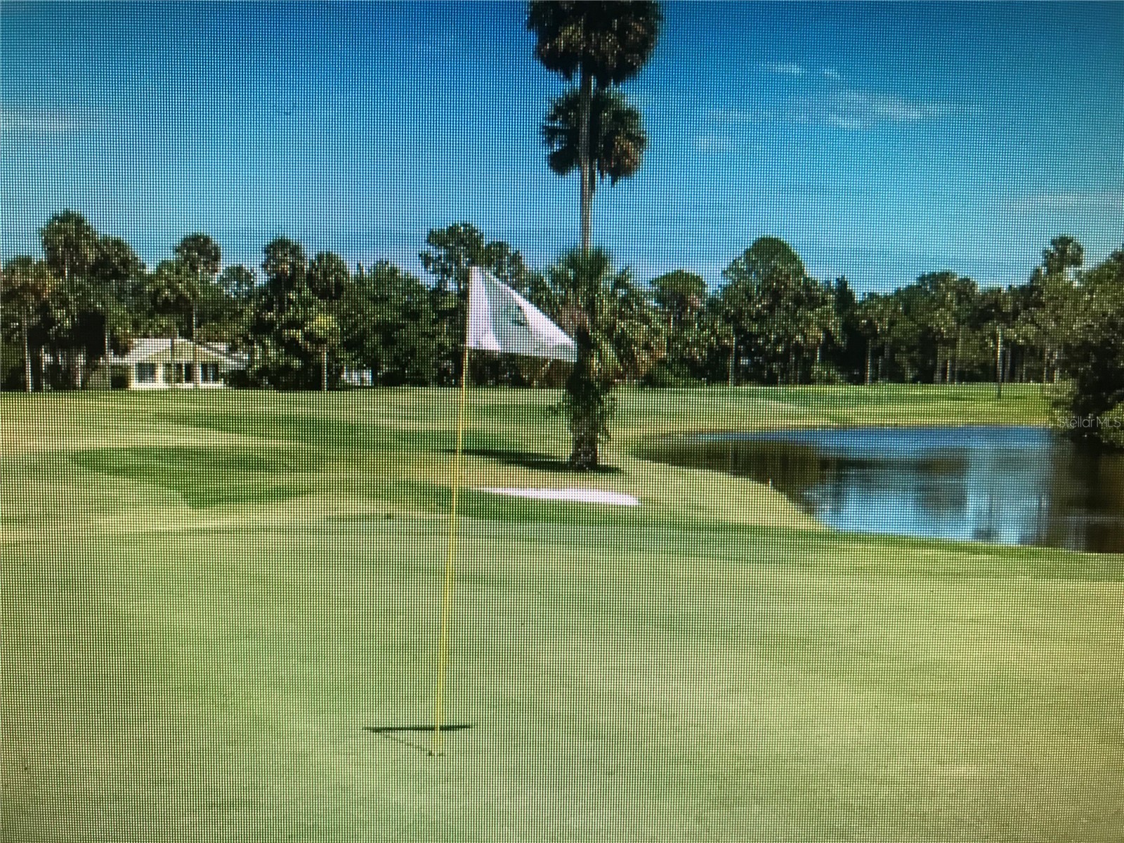 33 Bedford Drive Palm Coast FL 32137 FC318177 image53