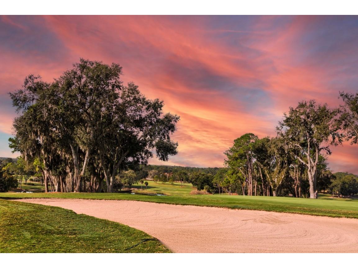 33 Camino Real #303 Howey In The Hills FL 34737 - LAKE HARRIS G5104869 image26