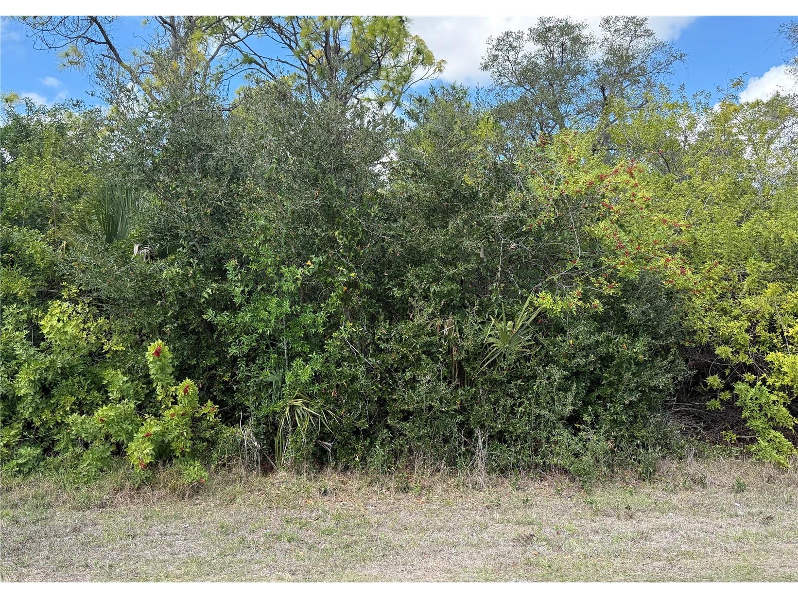 33 Cheshire Street Port Charlotte FL 33953 C7522694 image1
