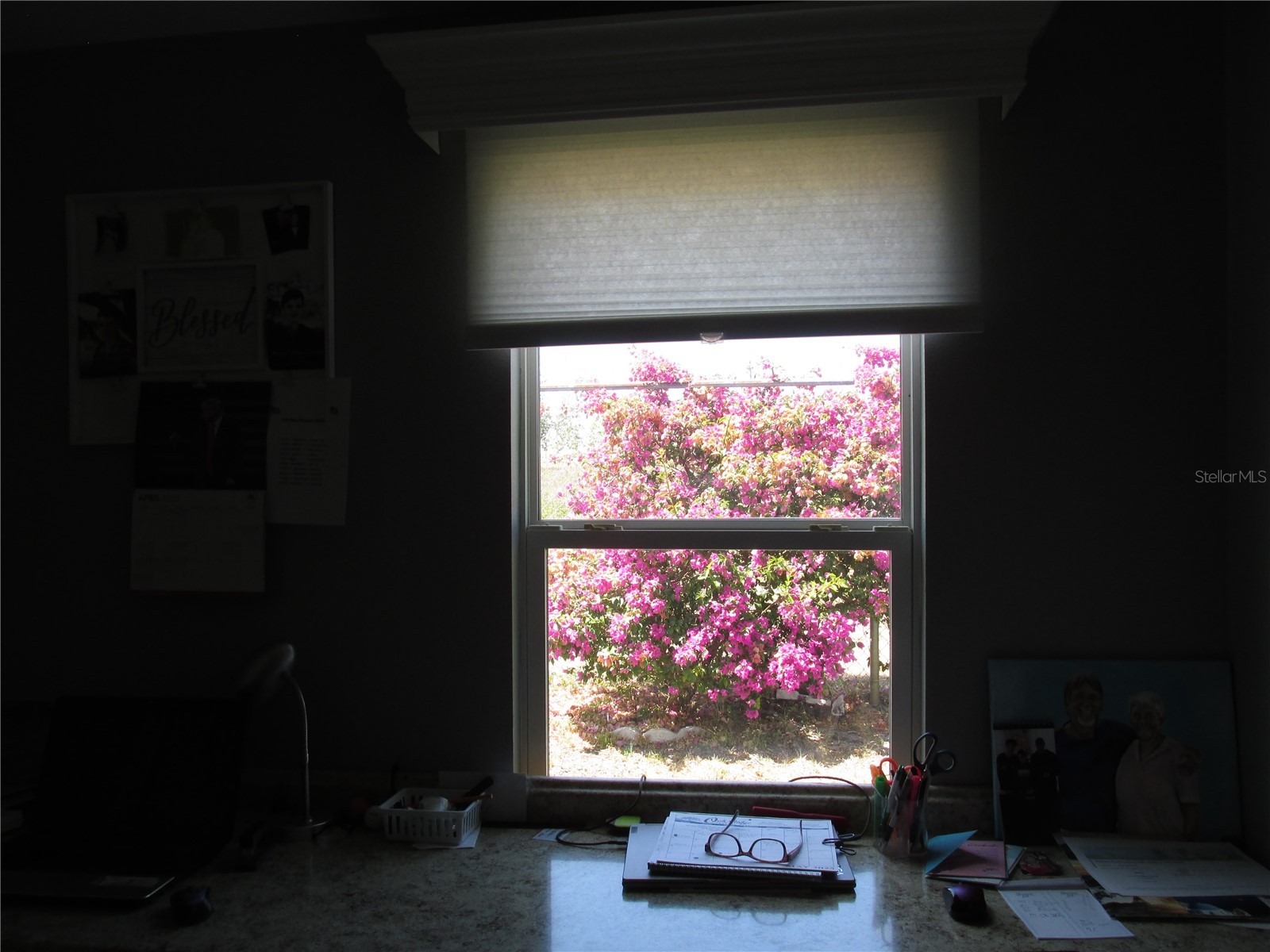 33 Edinburgh Drive Haines City FL 33844 L4952608 image26