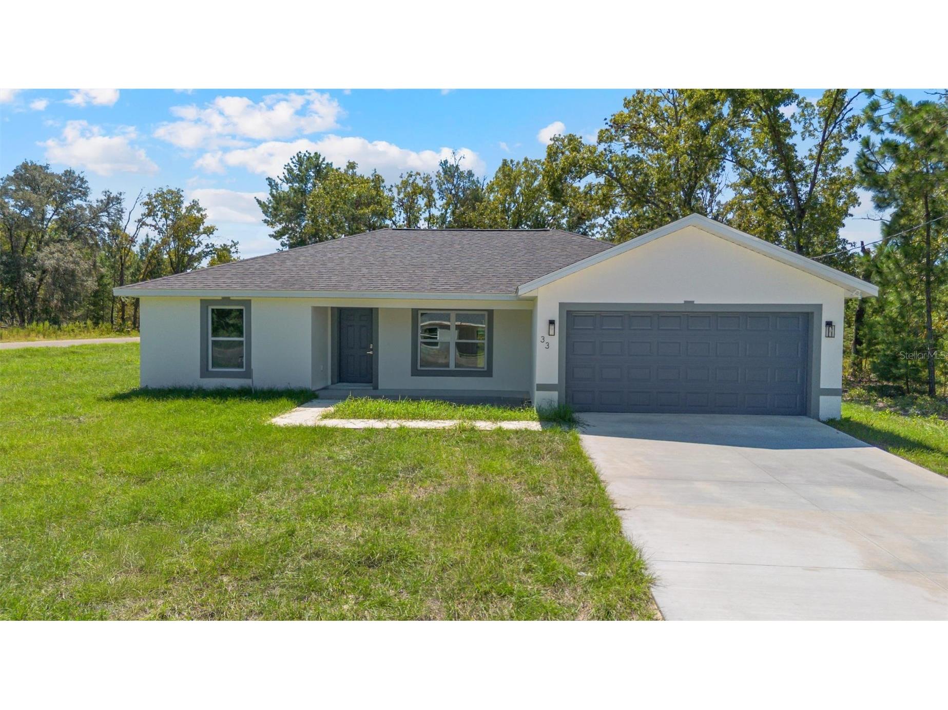 33 Fisher Lane Way Ocklawaha FL 32179 O6346339 image1