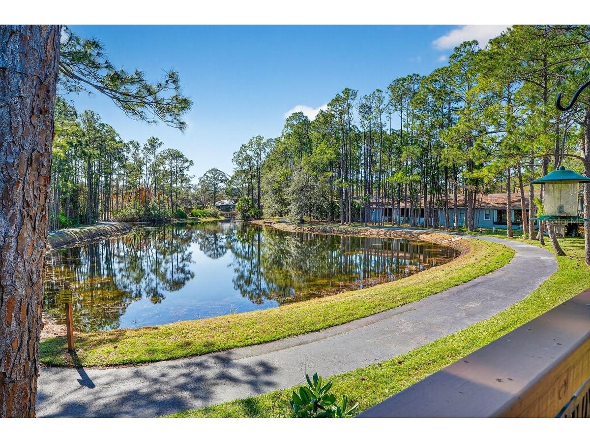 33 Lakepoint Circle Port Orange FL 32128 FC315875 image5