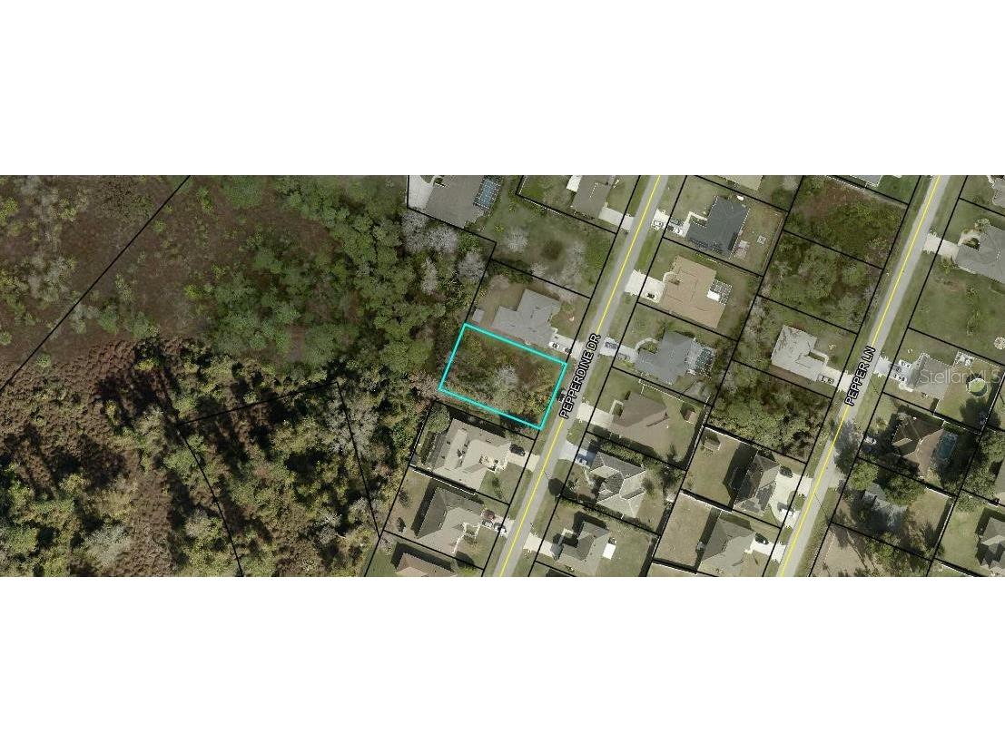 33 Pepperdine Drive Palm Coast FL 32164 FC317578 image1