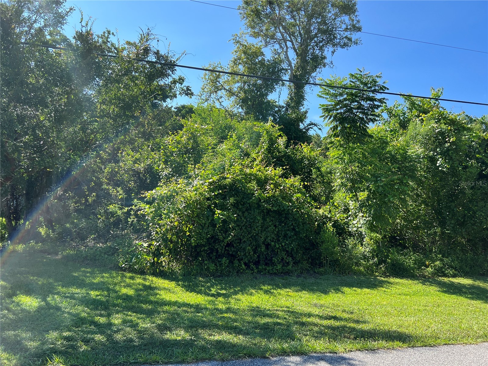 33 Pepperdine Drive Palm Coast FL 32164 FC317578 image2